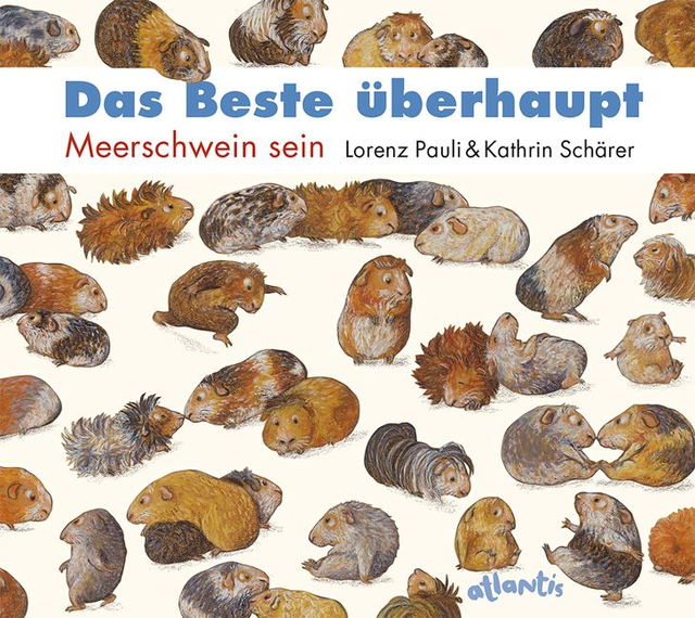 Das Beste überhaupt - Meerschwein sein