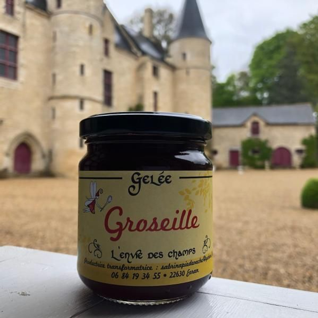 Confiture Envie des Champs 