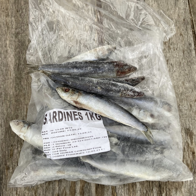 Sardines 