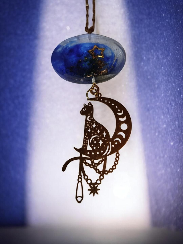 Nuit céleste féline 