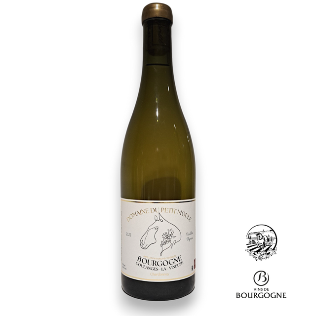 Bourgogne Coulanges la Vineuse 2023, vieilles vignes. Domaine du Petit Moule. Traction animale.