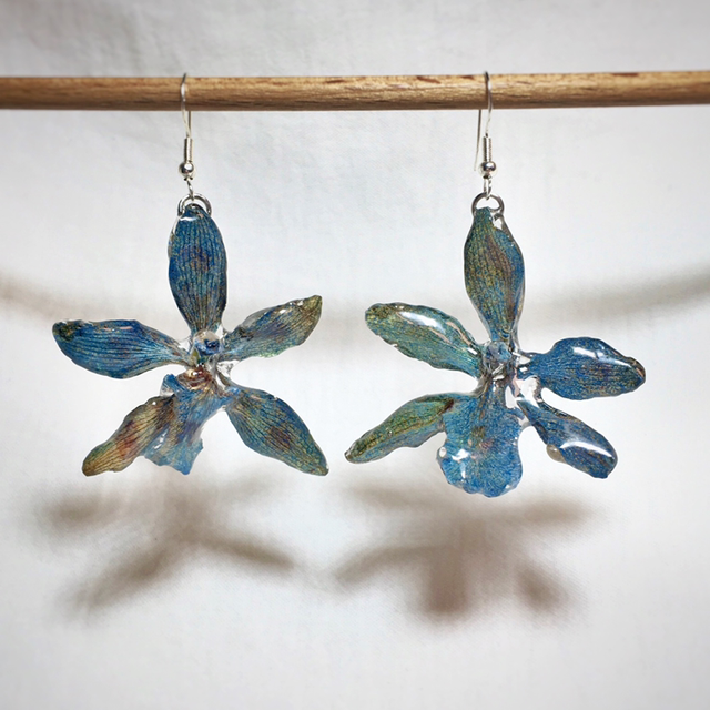 Blue Dancing Lady Orchid