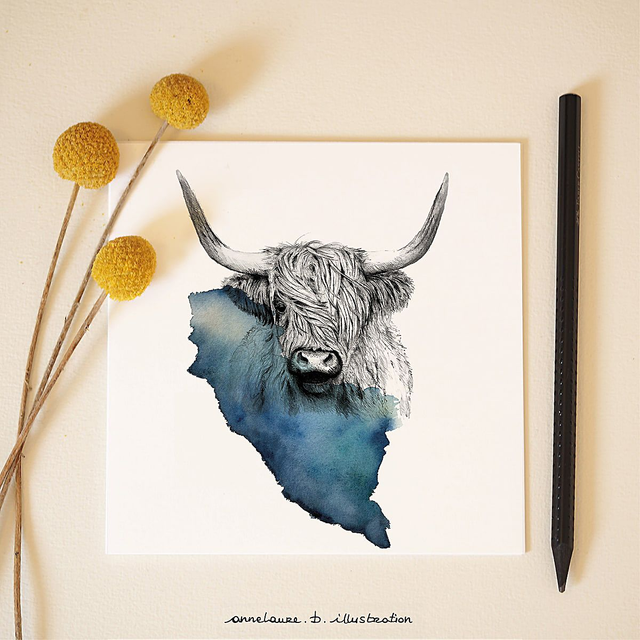 Carte "Highland cattle"