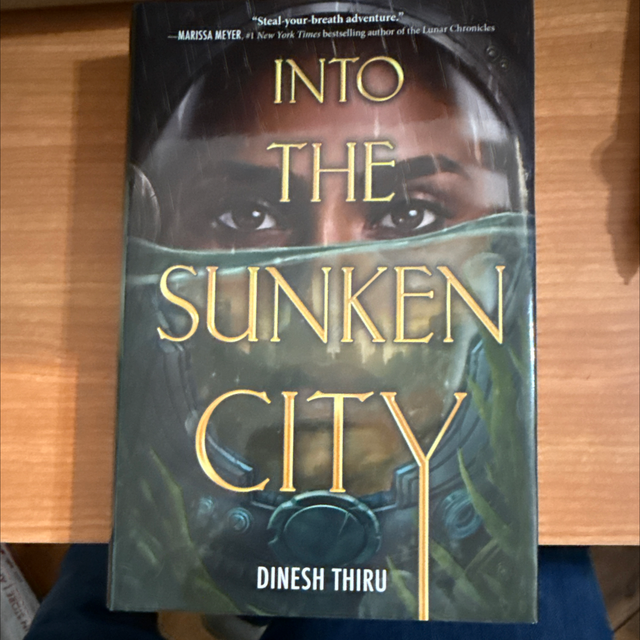 Into the Sunken City