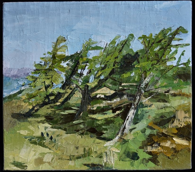 Original Oil Painting - Wind-blown Trees (Framed)