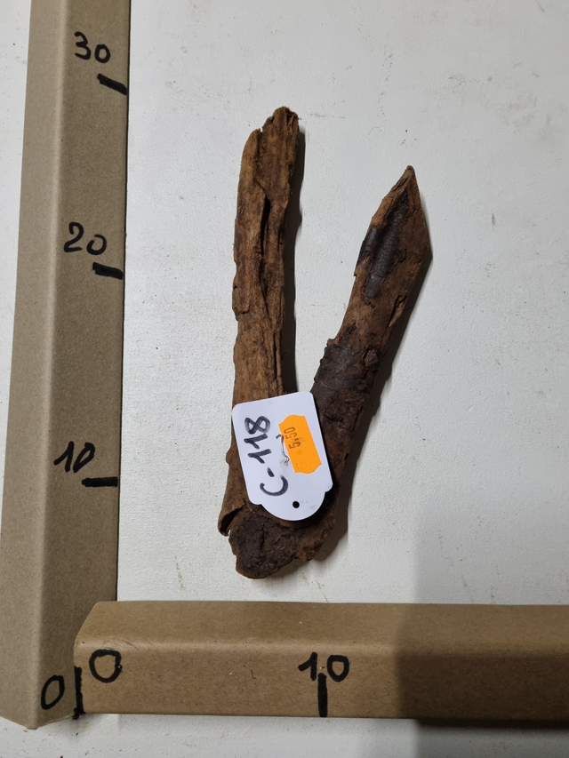 Racine Mangrove C-118