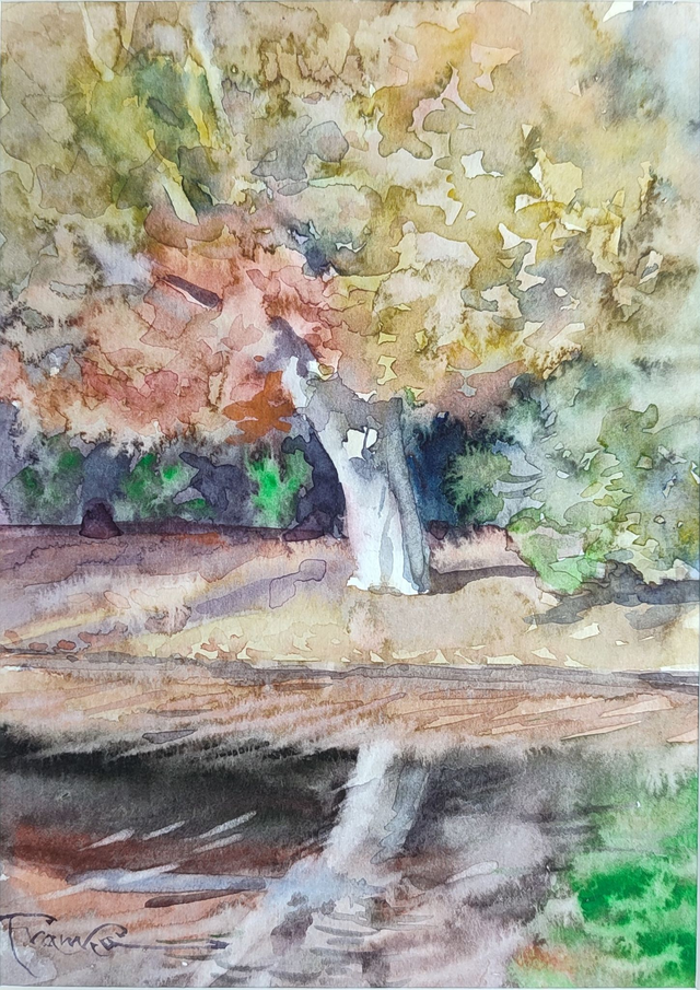 Drzewo, 30x24 (21x15 w świetle passe-partout) akwarela 2022
