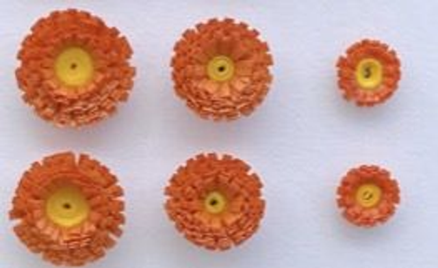 pâquerettes puces 1 cm