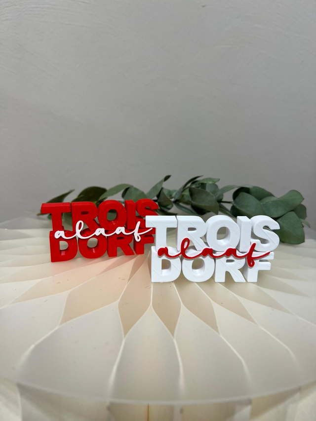 'Troisdorf Alaaf' 3D Print