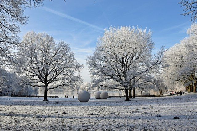 Aaseewiese im Schnee