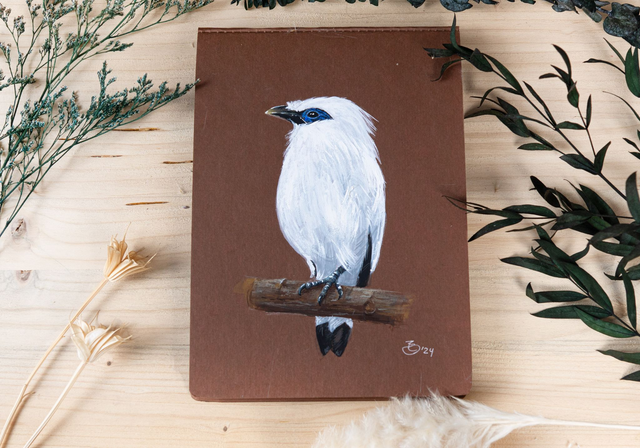 Original / Balistar - Spendenbild