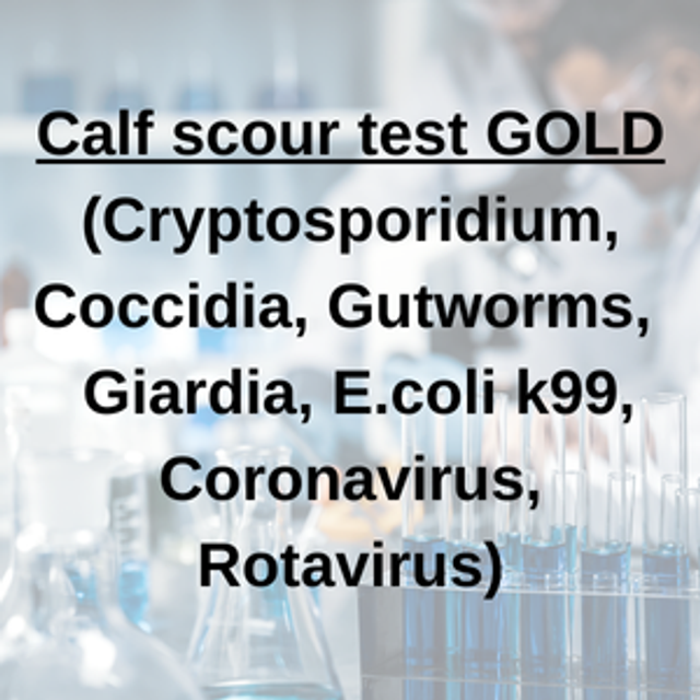 Calf Scour Test GOLD (Cryptosporidium, Coccidia, Gutworms, Giardia, E.coli k99, Coronavirus, Rotavirus)