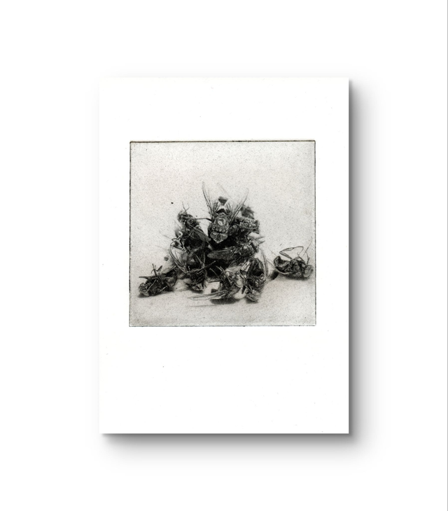 Flies "Genocide"  handprint photogravure A6 