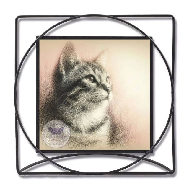 Artistic print of cat in square frame (C13)