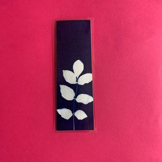 Marque page cyanotype végétal original sur papier épais et plastifié