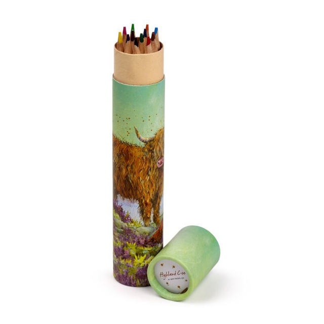 Large Colouring Pencil Tube - Jan Pashley Highland Coo