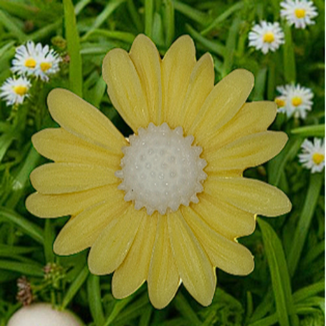 Fondant parfumé "Bois d'olivier"