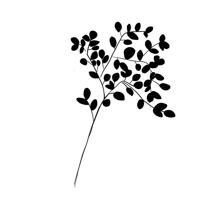 Stempel Haselrute II voll 5x8cm