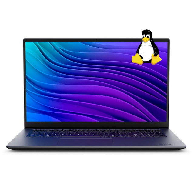 Medion Avantum 17" Display · 16G RAM · 1000G Datenspeicher · AMD Ryzen