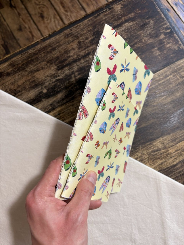 Insectes – Carnet A5 / A6