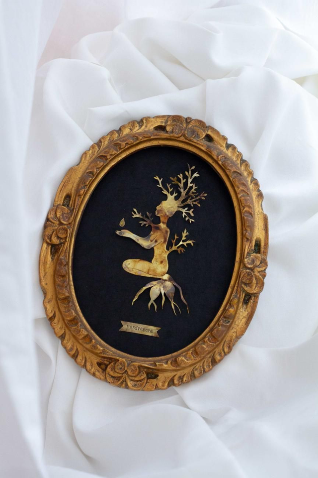 z-Mandragora - Disponible uniquement au Musée d'histoire Naturelle de Lille