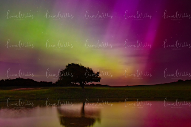 Aurora Borealis (Northern Lights) Print