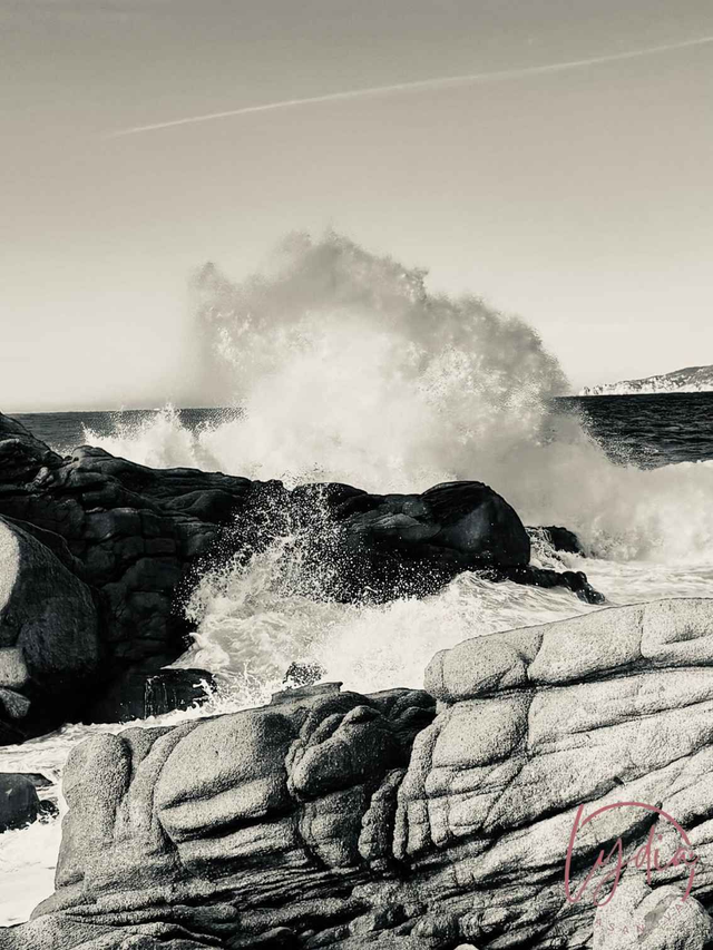 Sur les sentiers de Sagone, la vague
