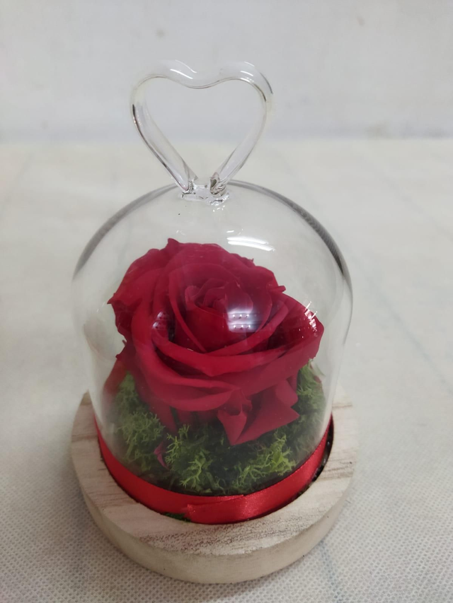 Rosa rossa stabilizzata mini