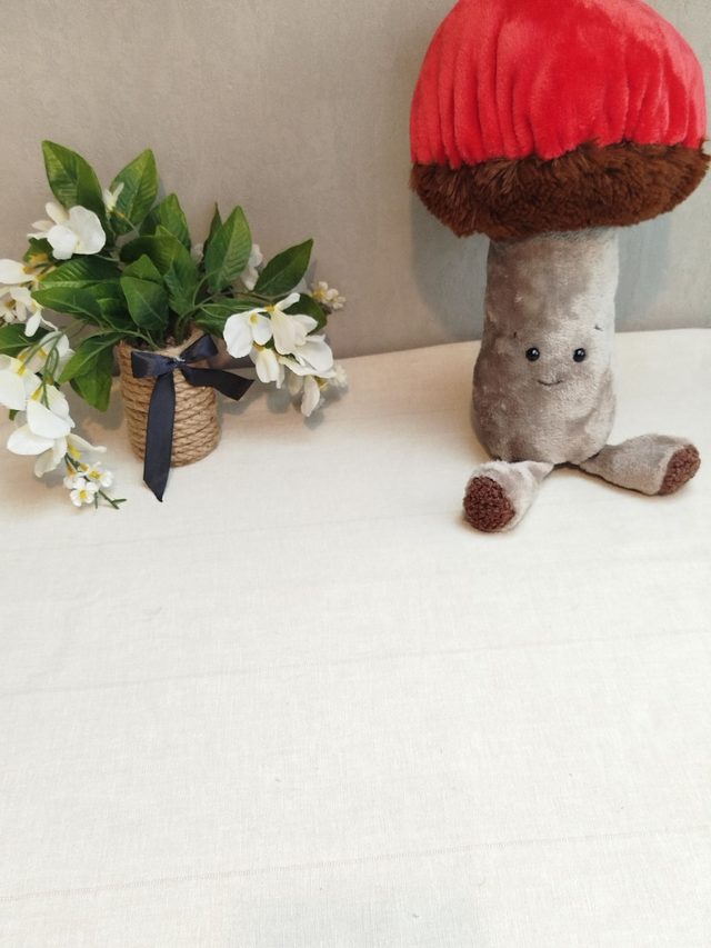 Coussin champignon rouge