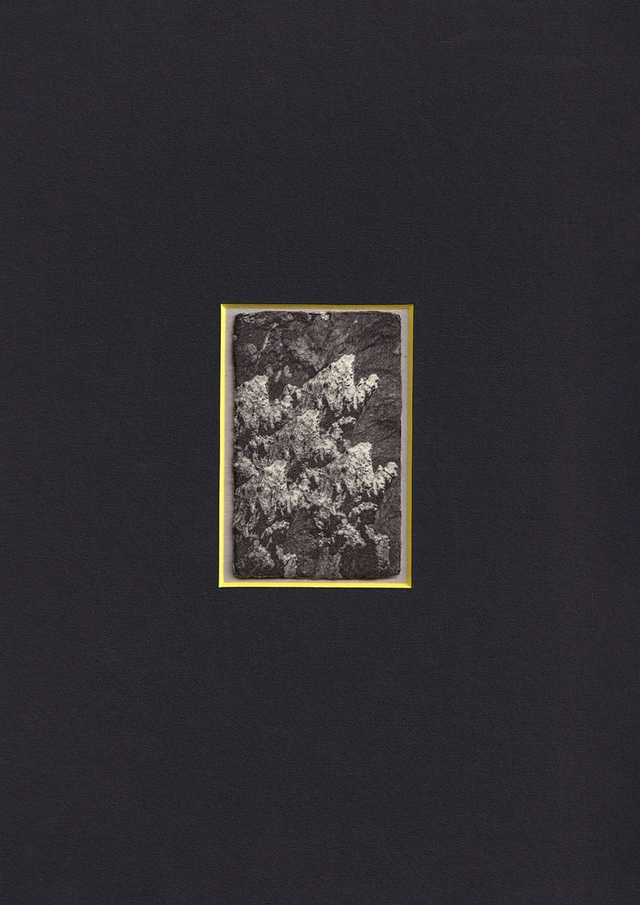 [la résurgence du Bonheur] coffret