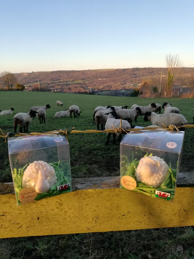 Sheep Soap 