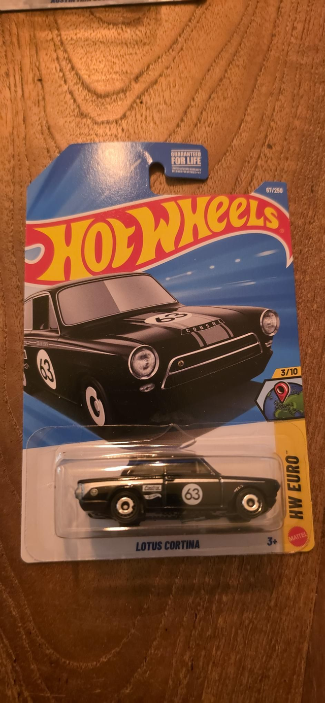 Lotus cortina 