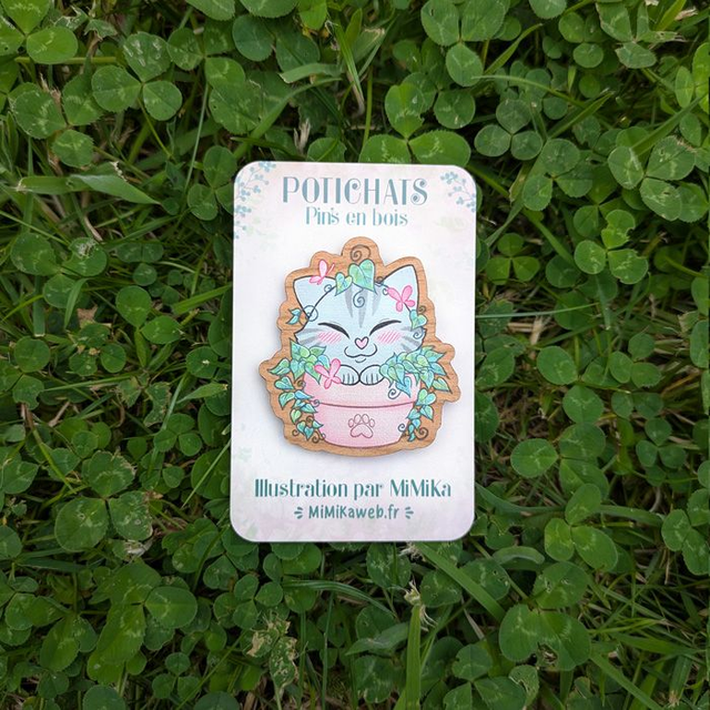 Pin's Potichat mystère