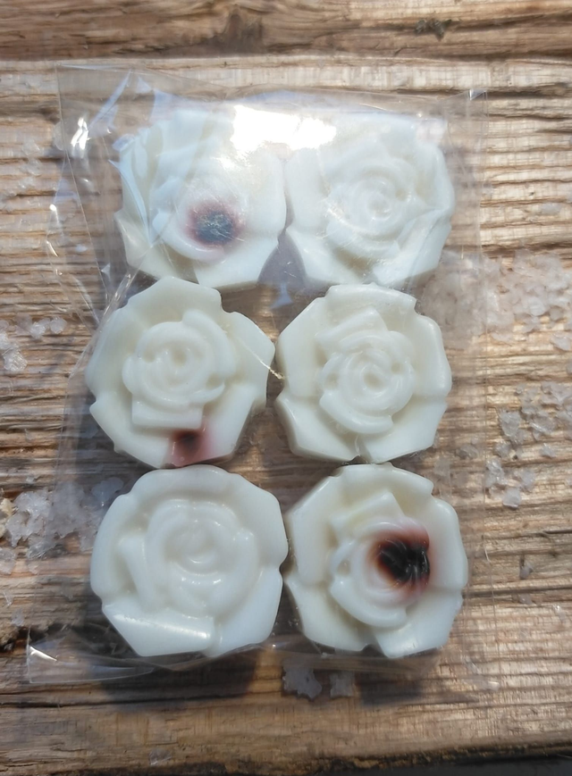 ROCK SALT AND DRIFTWOOD