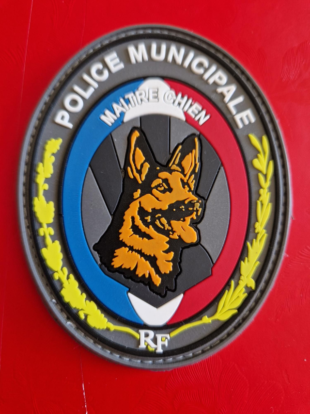 Patch &quot;Plaque&quot; pvc PM Maître Chien 