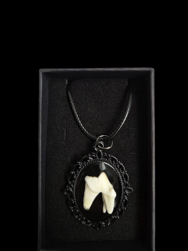 Black Fox Tooth Necklace
