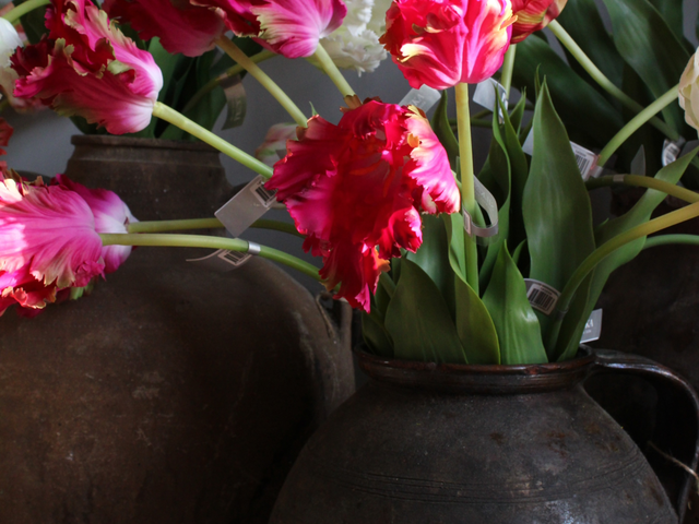 Silk-Ka Tulp Steel Paars Roze 