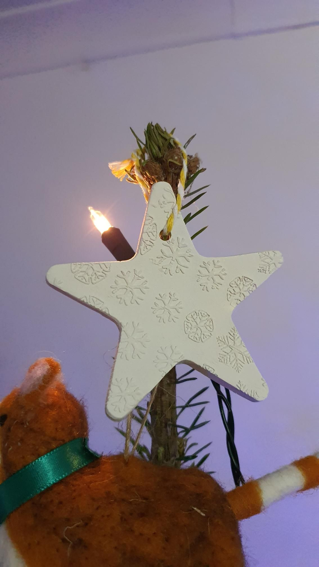 Star Xmas decoration/present tag (paintable)