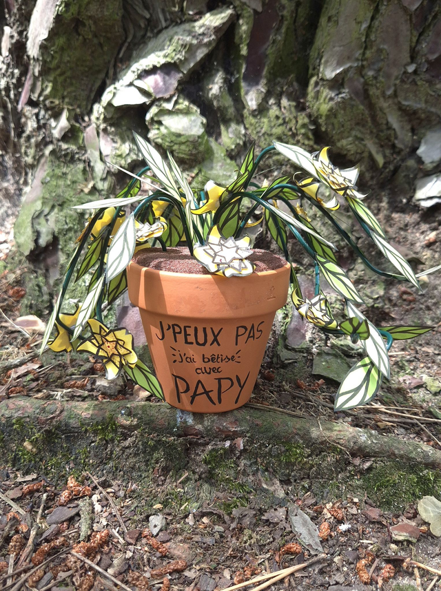 Baby plante " e peux pas j'ai bêtise avec Papy"