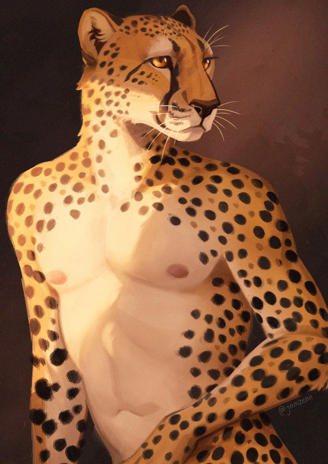 Cheetah