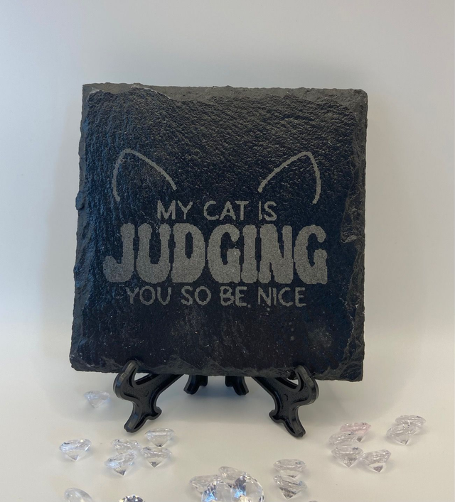 The Judging Cat