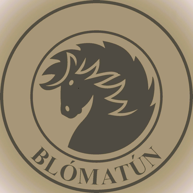 Sattel testen – Dein Weg zur perfekten Passform