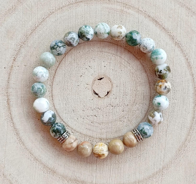 Agate Arbre et Bois Fossilisé 