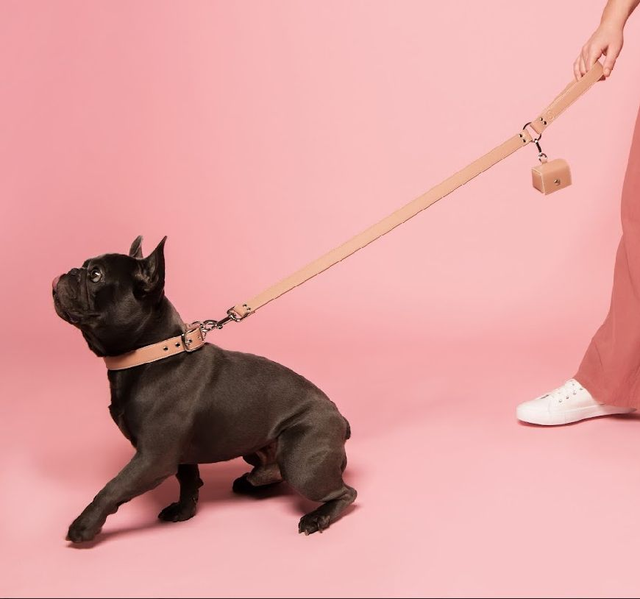 Skylos Collective Vegan Apple Leather Lead - Blush Pink