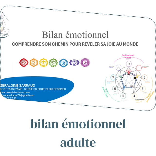 BILAN EMOTIONNEL EN VERSION PDF POUR LES PLUS DE 20 ANS 