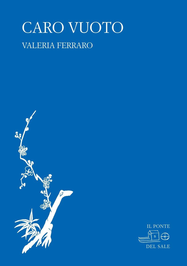 Ferraro Valeria - Caro vuoto