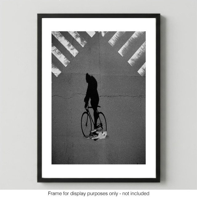 The Cyclist