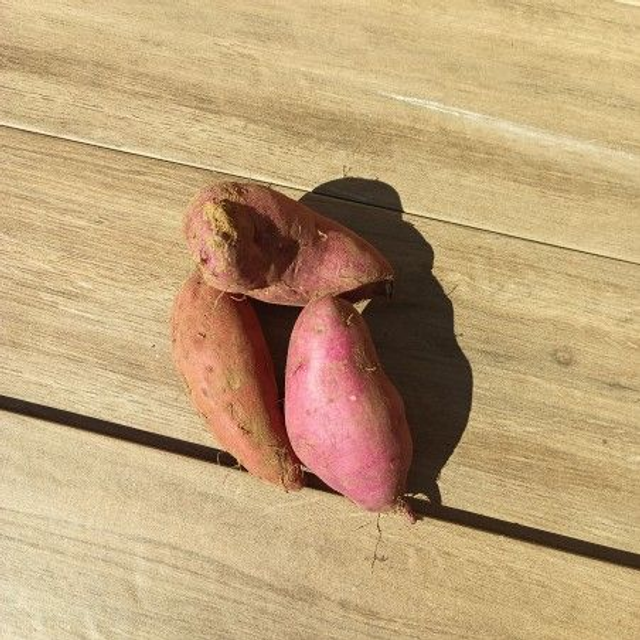 Patates douces 500g 🧺