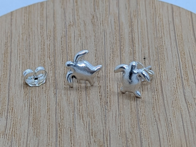 Large Turtle Earrings 