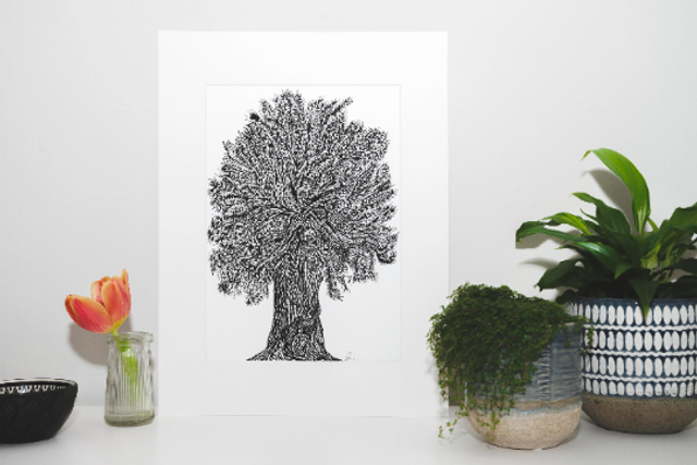 Willow Tree Ink Sketched Fine Art Giclee Mounted Print